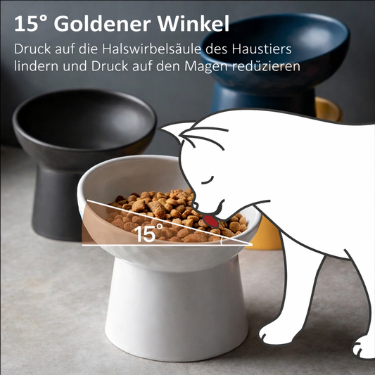 Erhöhter Keramik Futternapf