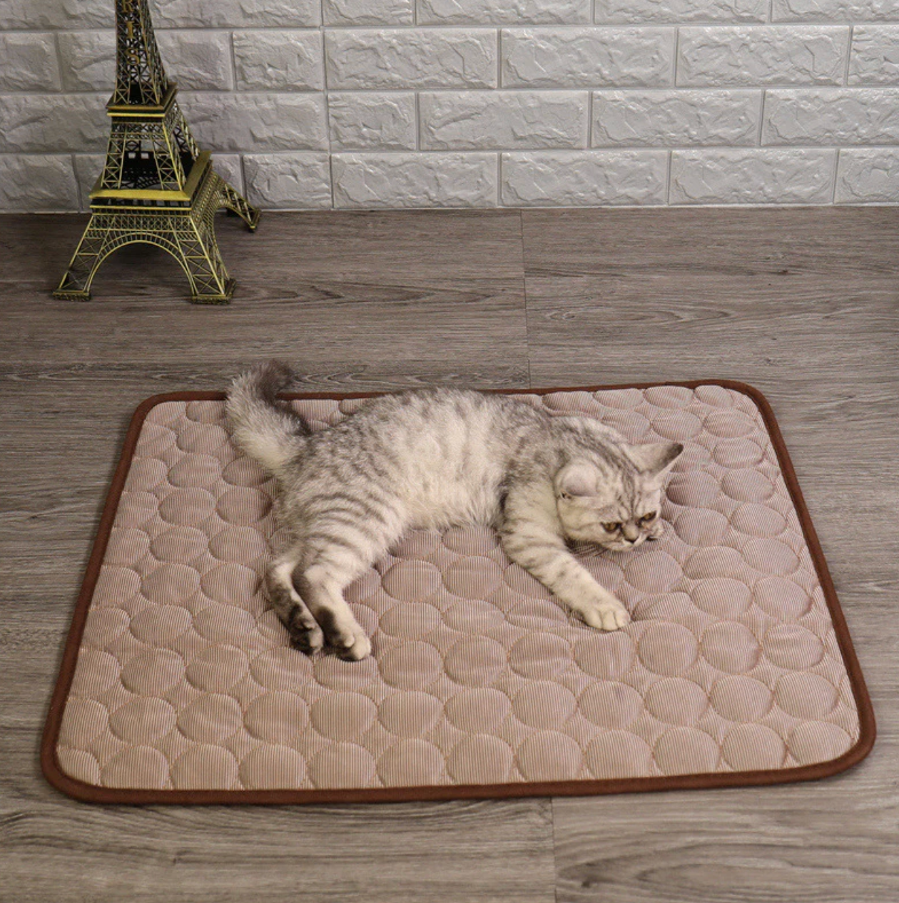 Kühlmatte für Katzen