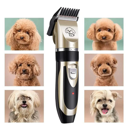 Profi Schermaschine für Katzen & Hunde