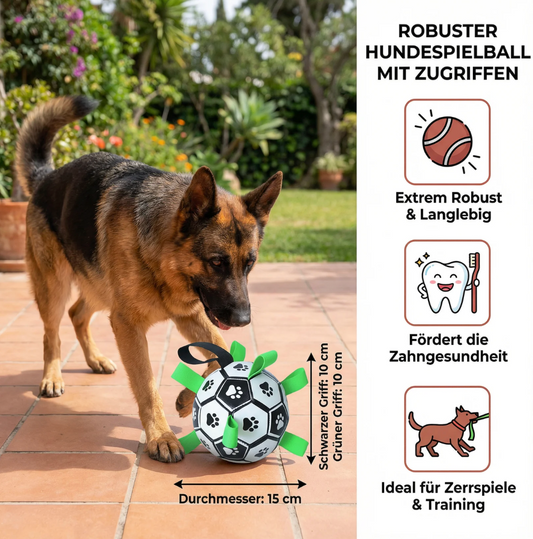 Hunde-Fußball mit Griffen