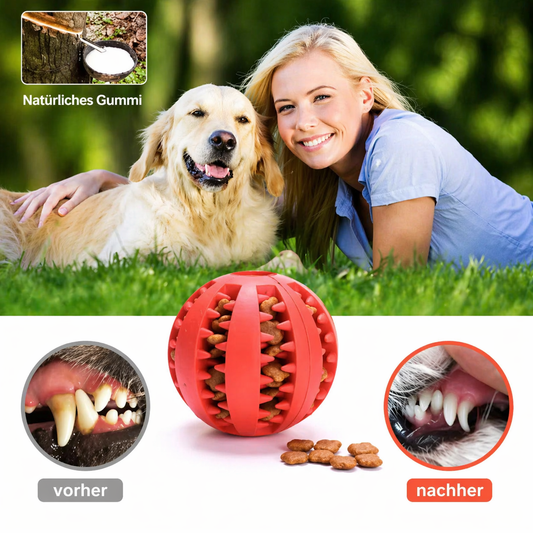 Leckerli Ball für Hunde & Katzen