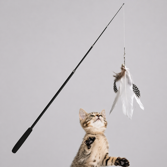 Teleskop Katzenangel