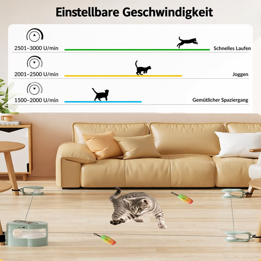 Automatisches Katzenjagd-Spielzeug