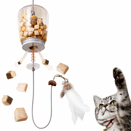 Katzen Spielzeug mit Leckerli-Spender