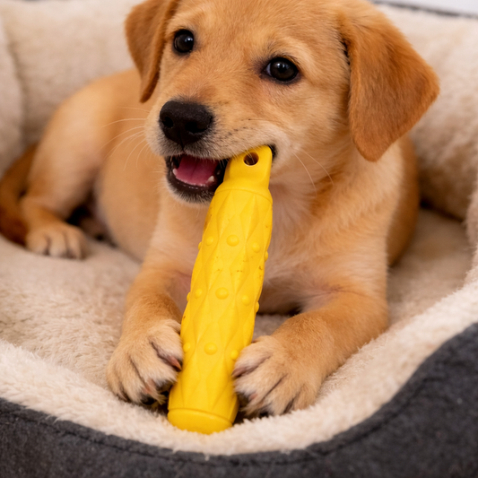 Kauknochen für Hunde