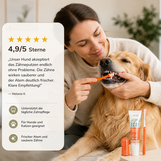 Zahnpflege Set für Hunde & Katzen