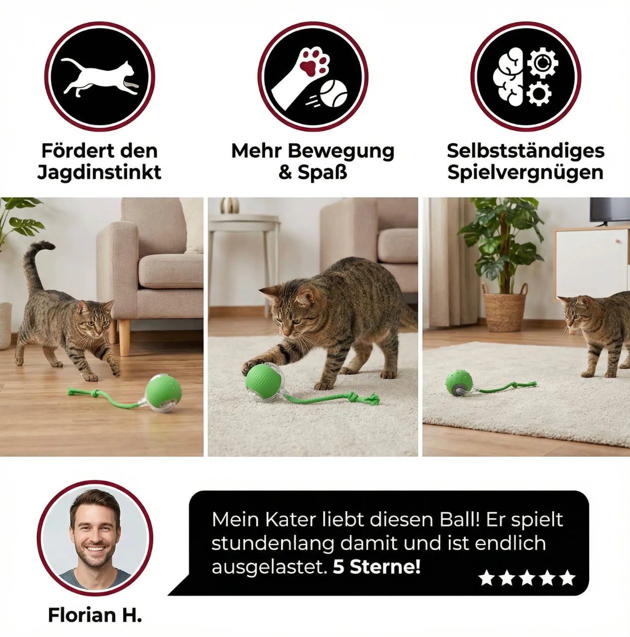 Smart Jagdball für Katzen
