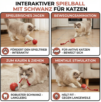 Smart Jagdball für Katzen