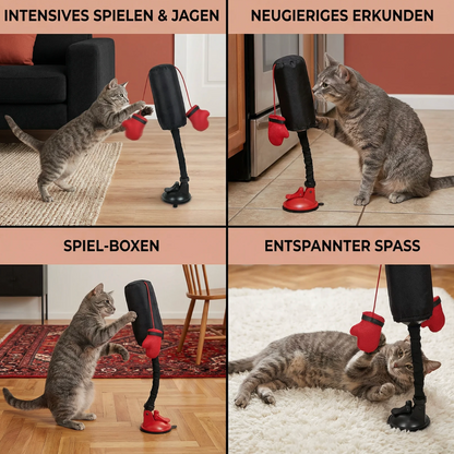 Katzen Boxsack mit Saugnapf