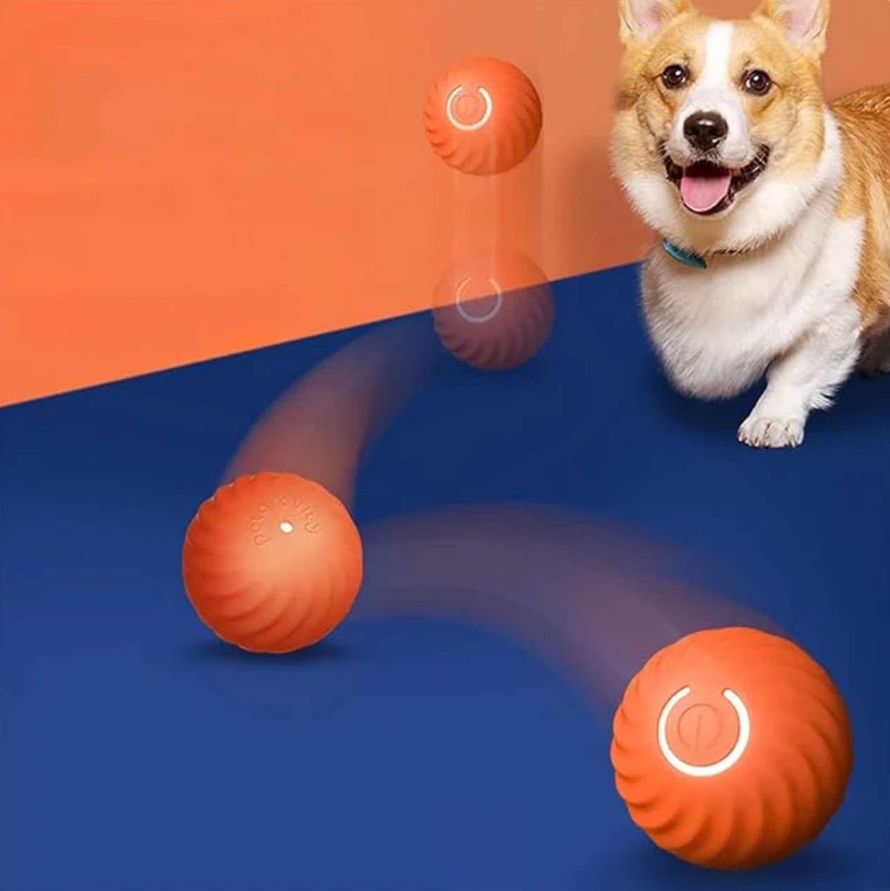 Smart Aktivball für Hunde