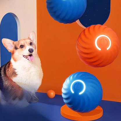Smart Aktivball für Hunde