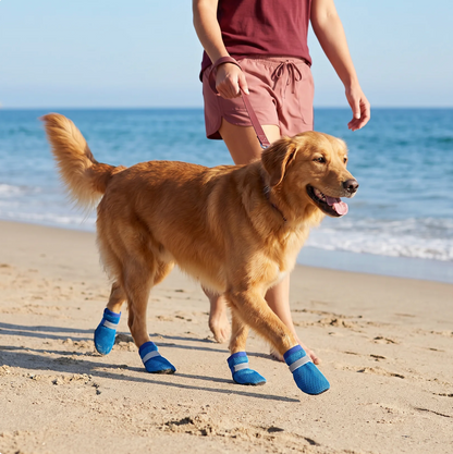 Pfotenschutz Hundeschuhe 4er-Set