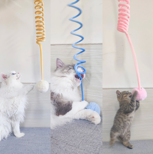 Interaktives Feder-Spielzeug für Katzen