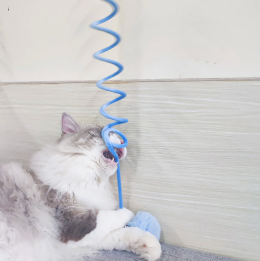 Interaktives Feder-Spielzeug für Katzen
