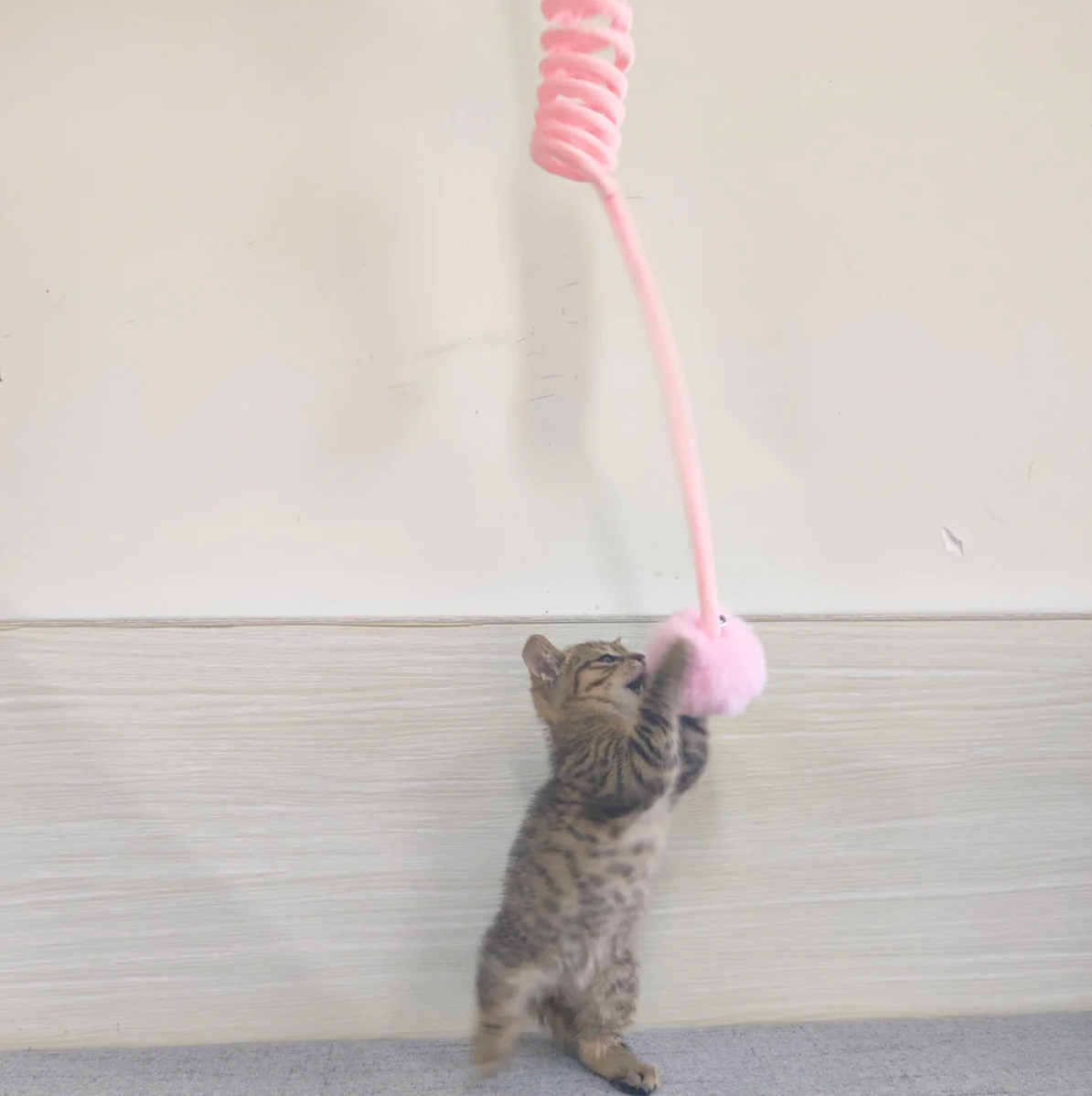 Interaktives Feder-Spielzeug für Katzen