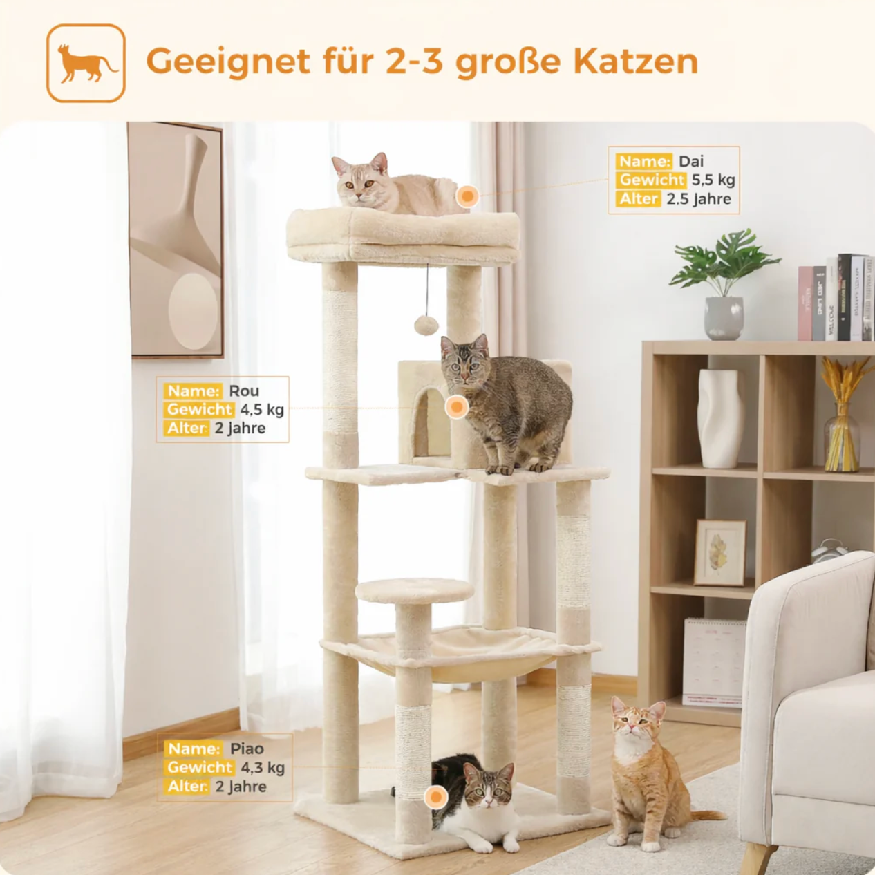 Kratzbaum 5 Ebenen