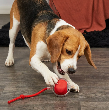 Smart Spielball für Hunde