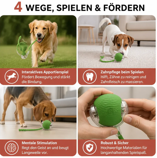 Smart Spielball für Hunde