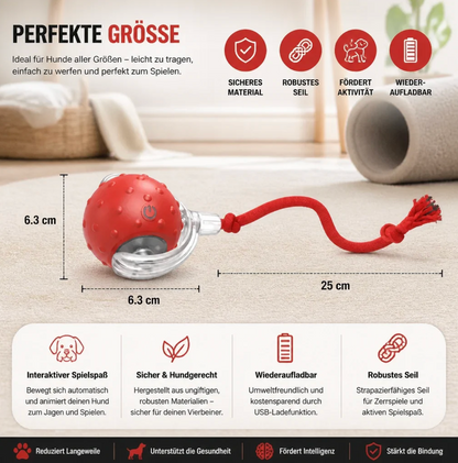 Smart Spielball für Hunde