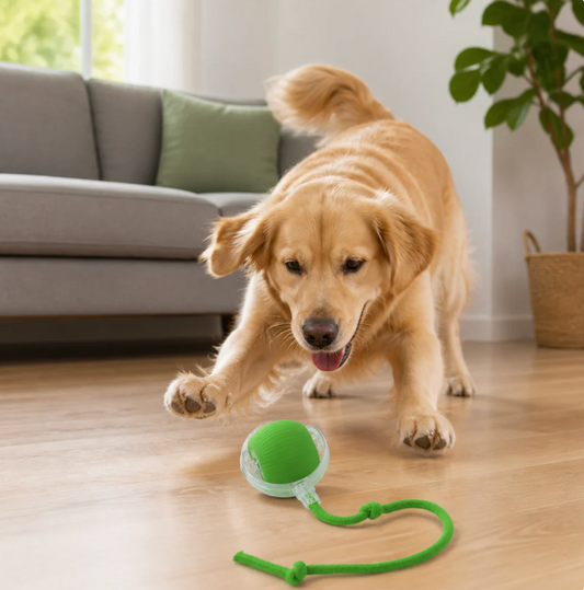 Smart Spielball für Hunde