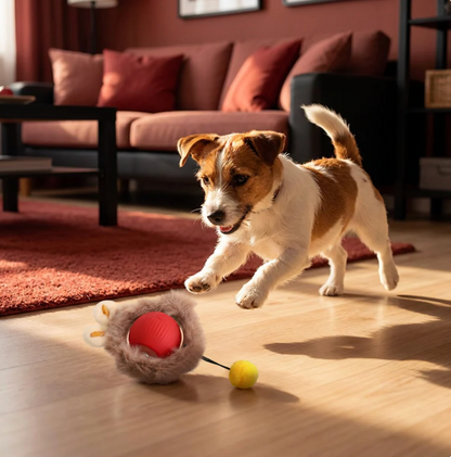 Smart Spielball für Hunde