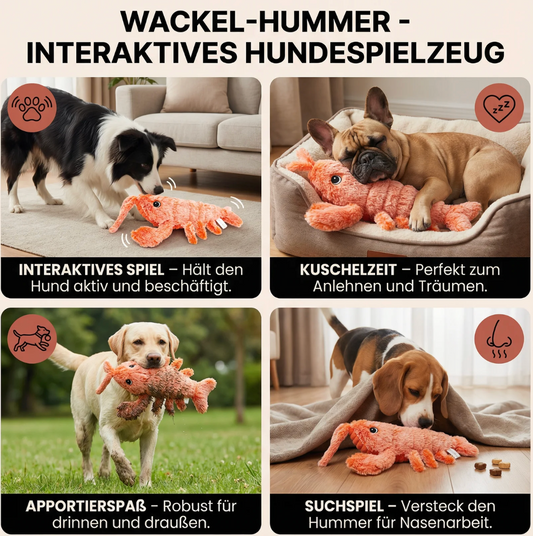 Wackel-Hummer Hundespielzeug
