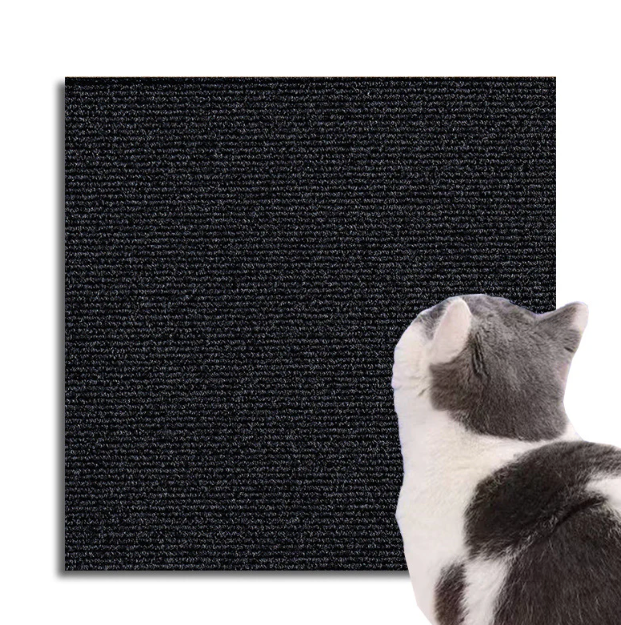 Kratzschutzmatte für Katzen