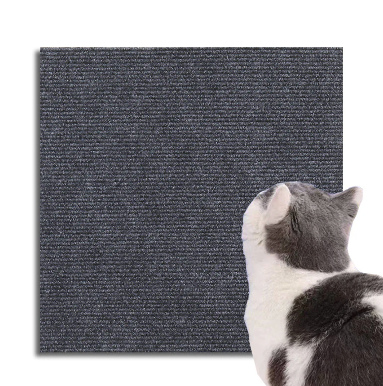 Kratzschutzmatte für Katzen