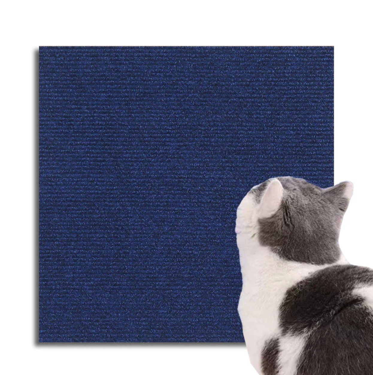 Kratzschutzmatte für Katzen