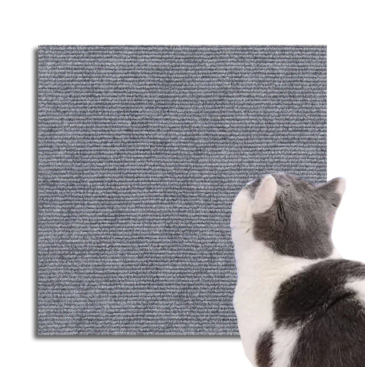Kratzschutzmatte für Katzen