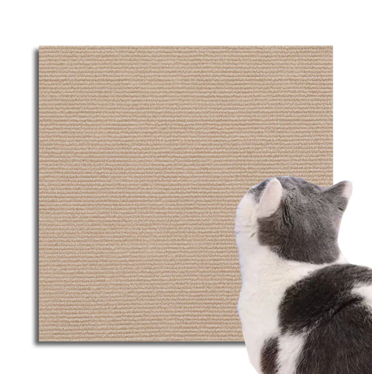 Kratzschutzmatte für Katzen