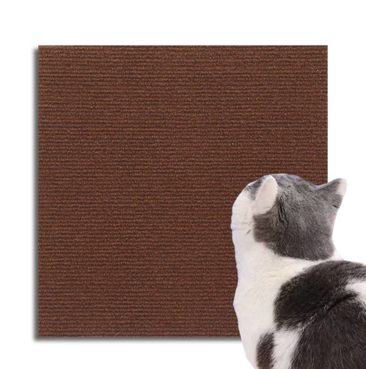 Kratzschutzmatte für Katzen