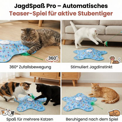 Interaktives Katzen Versteckspiel Spielzeug