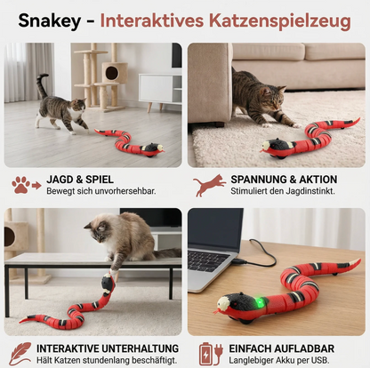 Interaktive Katzen-Spielschlange