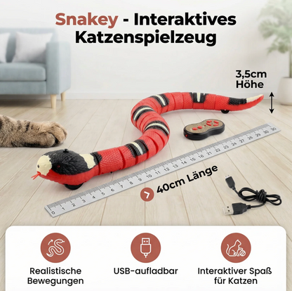Interaktive Katzen-Spielschlange