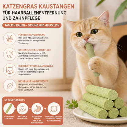 Katzengras Kausticks