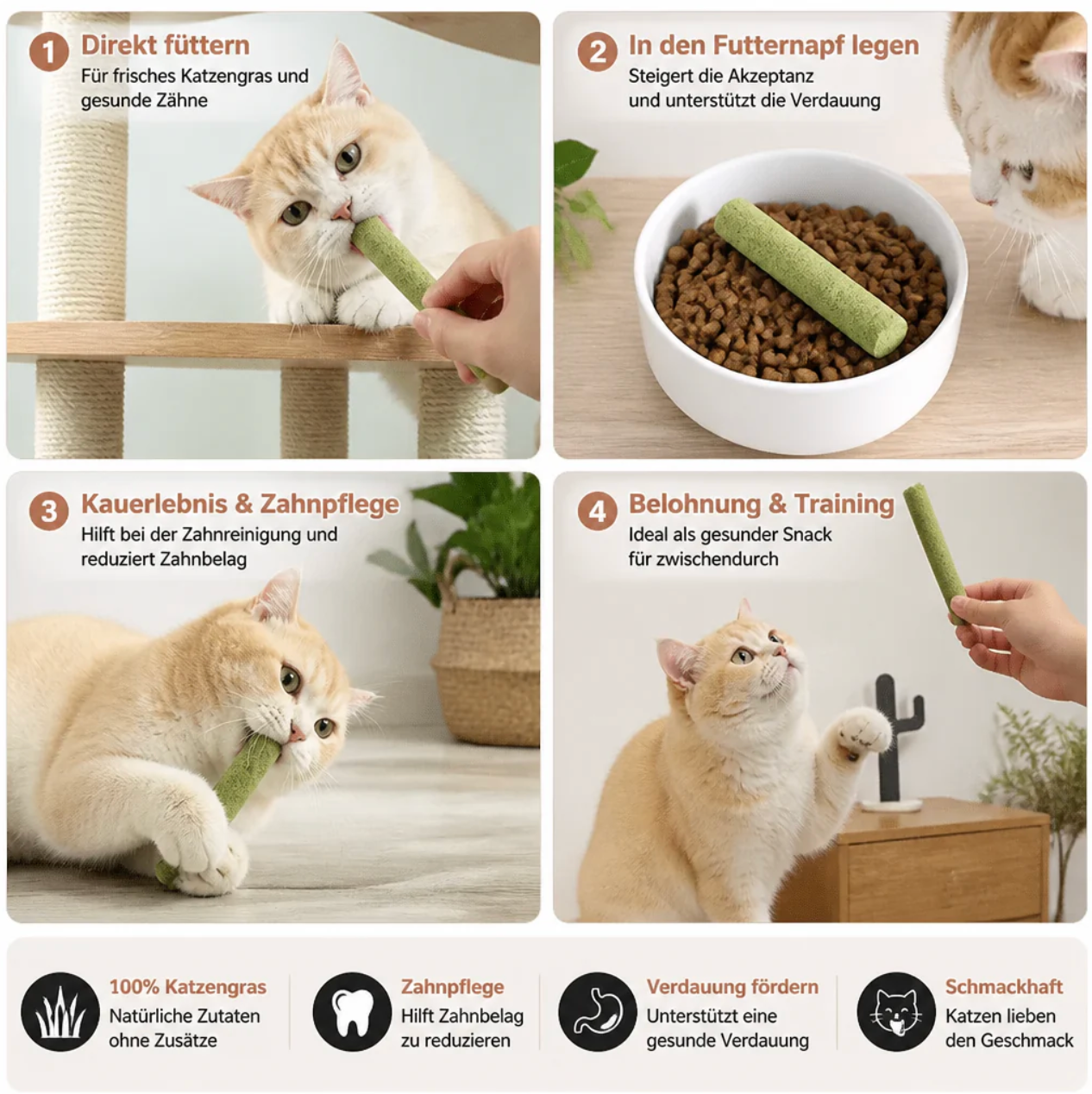 Katzengras Kausticks
