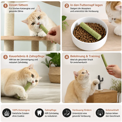 Katzengras Kausticks