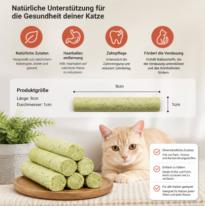 Katzengras Kausticks