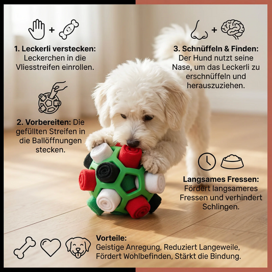 Schnüffelball für Hunde