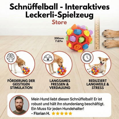 Schnüffelball für Hunde