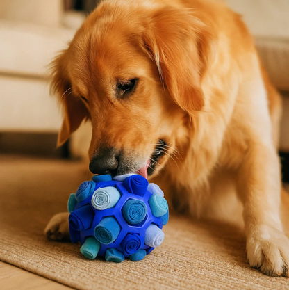 Schnüffelball für Hunde