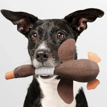 Quietsch-Ente für Hunde