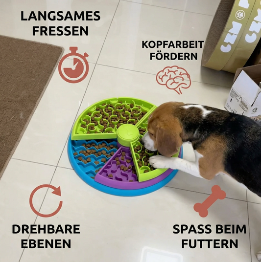 3-in-1 Intelligenz-Futterpuzzle für Hunde