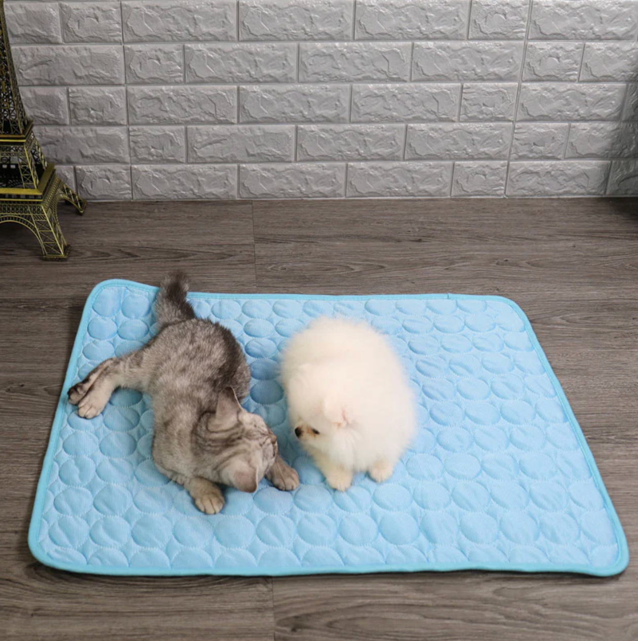 Kühlmatte für Katzen