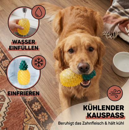 Quietschende Frucht für Hunde