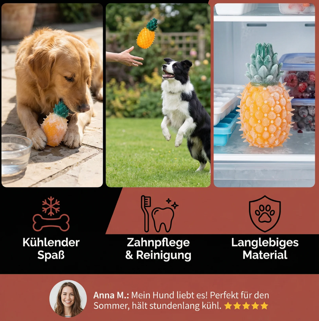 Quietschende Frucht für Hunde