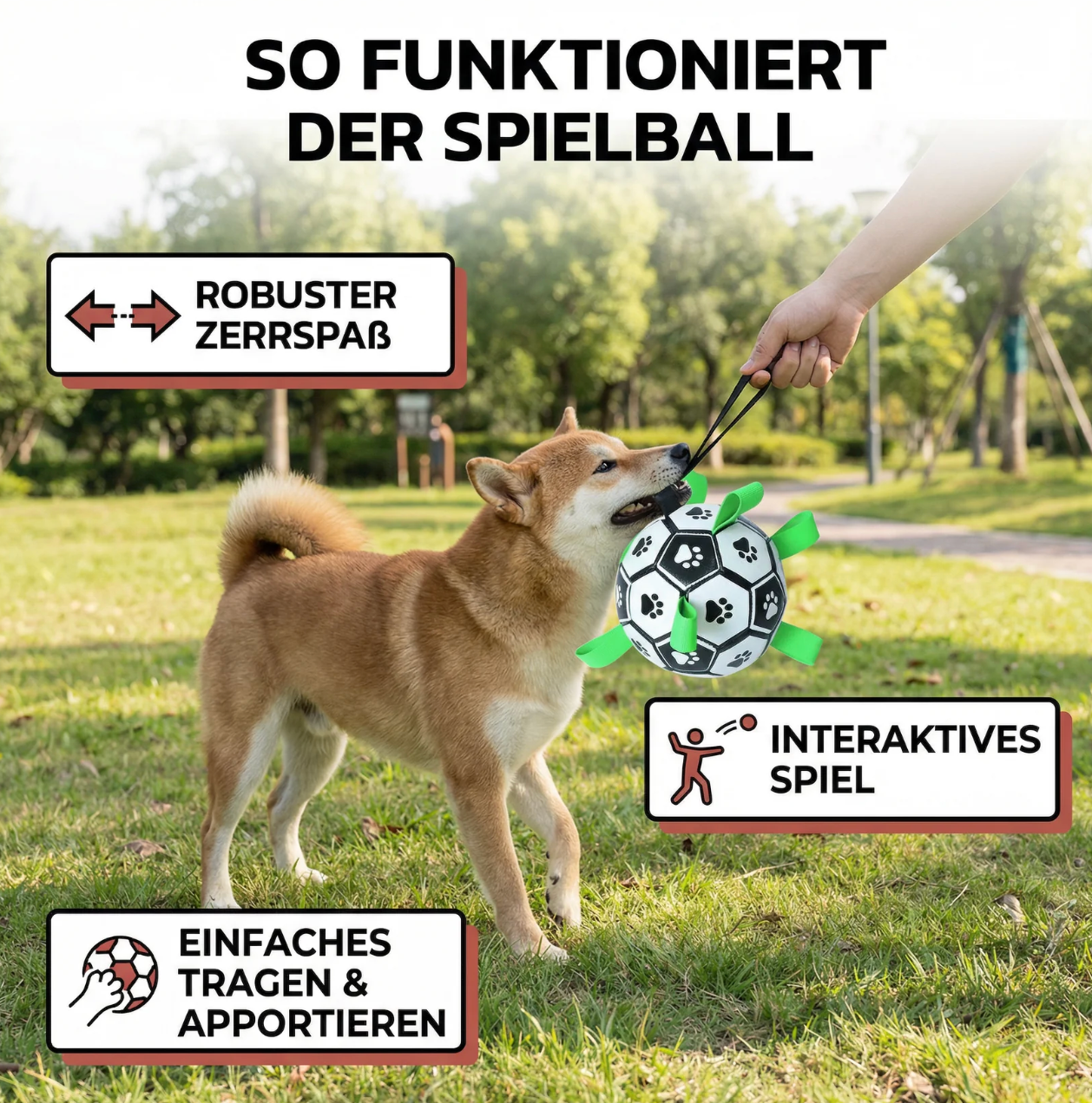 Hunde-Fußball mit Griffen