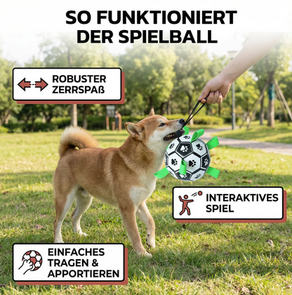 Hunde-Fußball mit Griffen