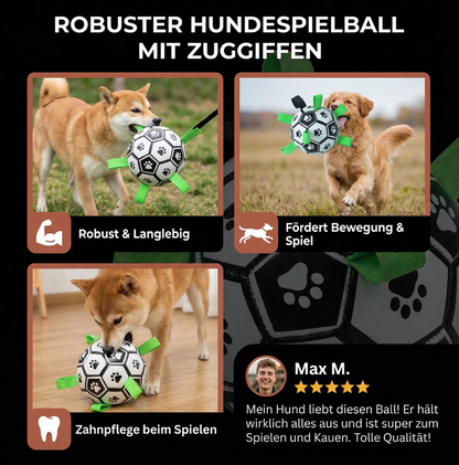 Hunde-Fußball mit Griffen